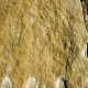 8 x 35 cm Kalkstein-Trittstufen Blancka Flava weiß